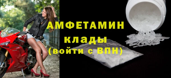 прущие грибы Козельск