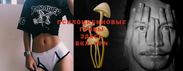 мдпв Кинешма